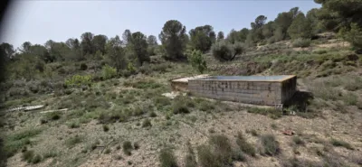 Finca rústica en El Pinós - Pinoso photo 9