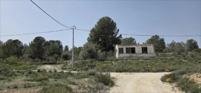 Finca rústica en El Pinós - Pinoso photo 11