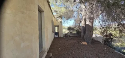 Finca rústica en El Pinós - Pinoso photo 18