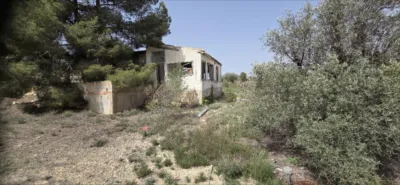 Rustic finca in El Pinós - Pinoso photo 2
