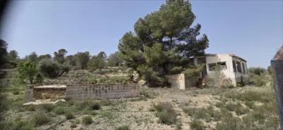 Rustic finca in El Pinós - Pinoso photo 4