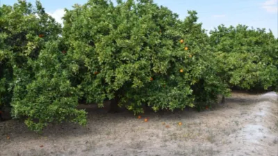 Finca rústica en venta en Carcaixent, Carcaixent de 87.000 €