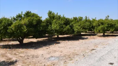 Finca rústica en venta en Carcaixent, Carcaixent de 87.000 €