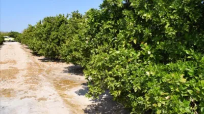 Finca rústica en venta en Carcaixent, Carcaixent de 87.000 €