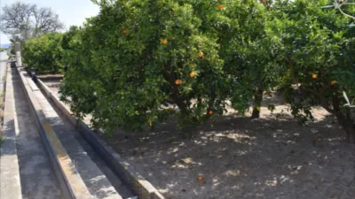 Finca rústica en venta en Carcaixent, Carcaixent de 87.000 €