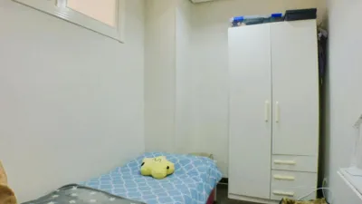 Apartment in the City Centre photo 19