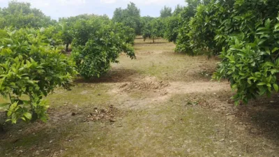 Rustic farm on Poligono 5 Street photo 9