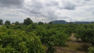 Rustic farm on Poligono 5 Street photo 12