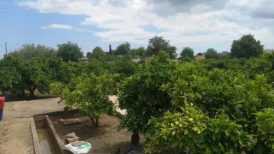 Rustic farm on Poligono 5 Street photo 13