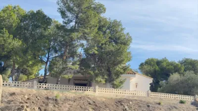 Casa – Elx - Elche - Vista 5