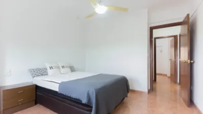 Apartment on Avinguda de València photo 18