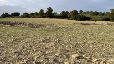 Rustic hunting in La Milagrosa photo 11