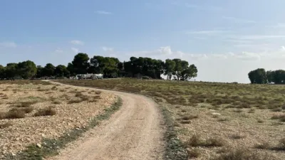 Rustic hunting in La Milagrosa photo 16