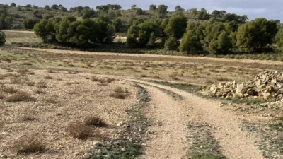 Rustic hunting in La Milagrosa photo 17