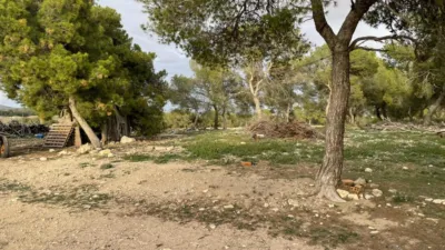 Rustic hunting in La Milagrosa photo 22