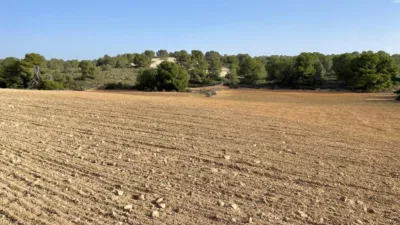 Rustic hunting in La Milagrosa photo 15