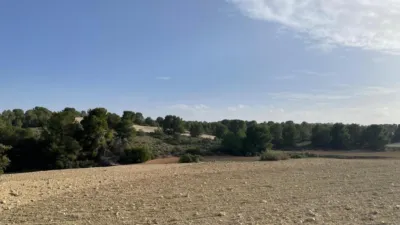 Rustic hunting in La Milagrosa photo 12