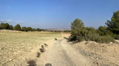 Rustic hunting in La Milagrosa photo 10