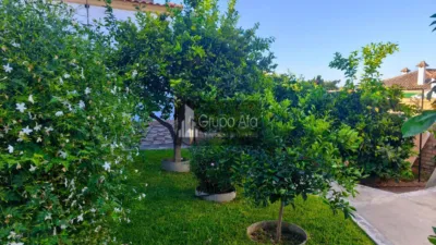 Single-family chalet in Nueva Alcalá photo 10