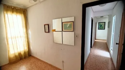 Apartment on Calle Rugat photo 5