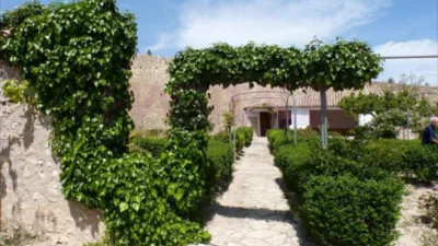 Rustic finca on Calle Tibi, Ctra S. Vicente-Alcoy. Torrosellas, Polígono photo 33