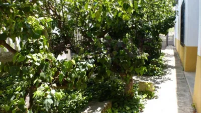 Rustic finca on Calle Tibi, Ctra S. Vicente-Alcoy. Torrosellas, Polígono photo 34