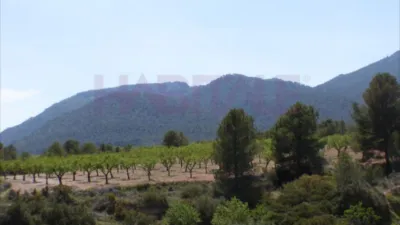 Rustic finca on Calle Tibi, Ctra S. Vicente-Alcoy. Torrosellas, Polígono photo 13