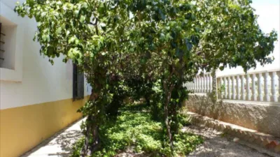 Rustic finca on Calle Tibi, Ctra S. Vicente-Alcoy. Torrosellas, Polígono photo 32
