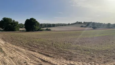 Finca rústica en venta en La Milagrosa - Vista 4