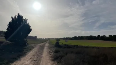 Finca rústica en venta en La Milagrosa - Vista 5