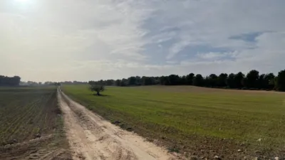Finca rústica en venta en La Milagrosa - Más