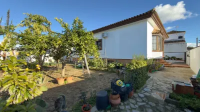 Detached House in Malcocinado photo 7