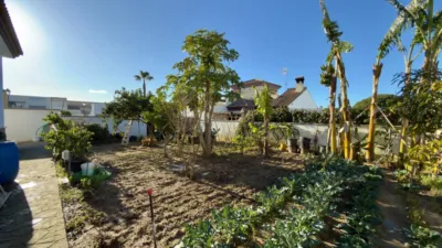 Detached House in Malcocinado photo 9
