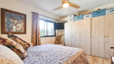 Apartment in Los Molinos photo 43