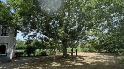 House in La Cavada photo 12