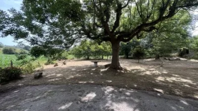 House in La Cavada photo 19