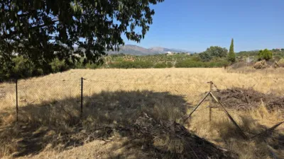Detached house in Ds Valdeolivos photo 6