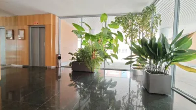 Apartment on Calle del Velero photo 21