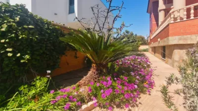 Detached house in Roquetas de Mar Urbanization photo 18