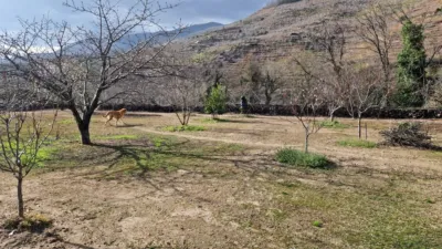 House on Carretera del Valle photo 21