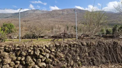 House on Carretera del Valle photo 31