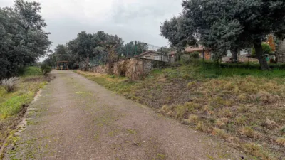 Single-family home in Coto de San Isidro photo 41