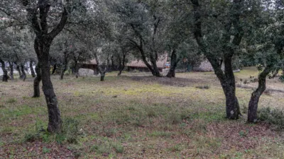 Single-family home in Coto de San Isidro photo 44