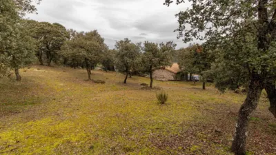 Single-family home in Coto de San Isidro photo 4