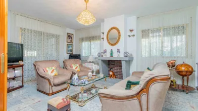 Single-family home in Centro photo 4