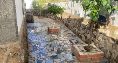Detached house on Crta de Caceres photo 31