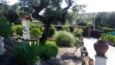 Detached house on Crta de Caceres photo 5