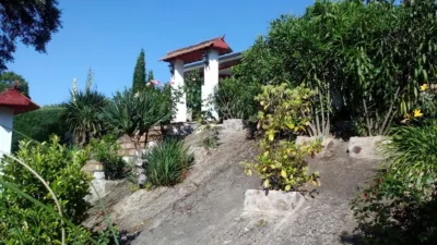 Detached house on Crta de Caceres photo 10