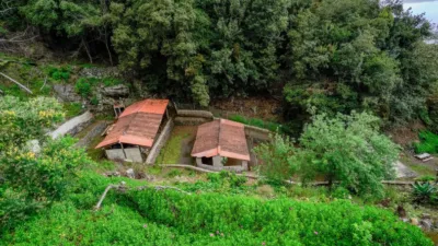 Rustic Finca in Hermigua - Santa Cruz de Tenerife photo 9