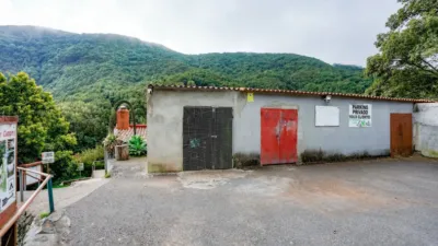 Rustic Finca in Hermigua - Santa Cruz de Tenerife photo 11
